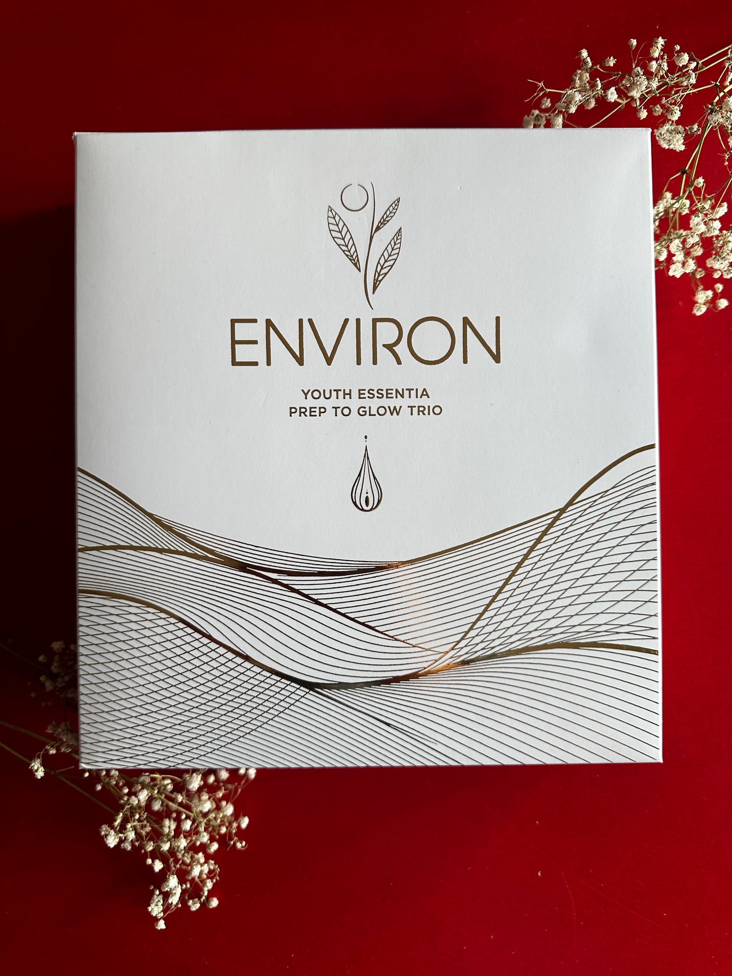 ACTIE Environ Vitamin Start up Youth Essentia Anti Aging